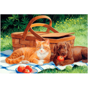 Family Picnic