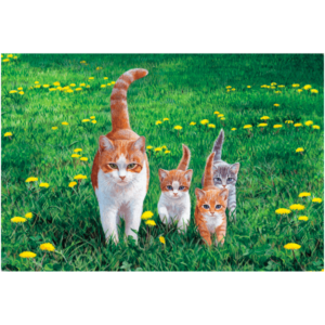 Happy Tails_tiny