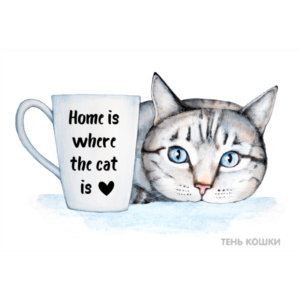 Home is where the cat