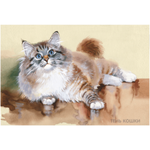 Кошка