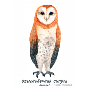 Обыкновенная сипуха