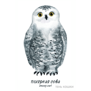Полярная сова