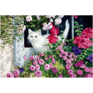 Summer Window_tiny