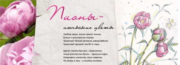 Мастер-класс «Рисуем пионы»
