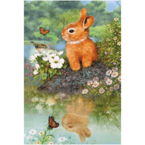 Rabbit