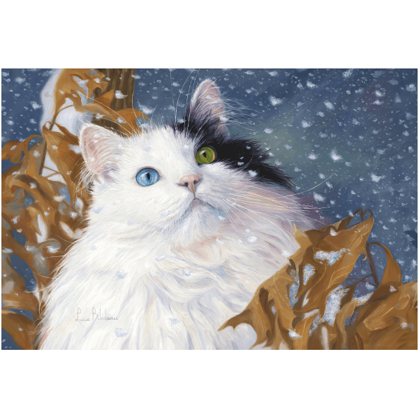Captivating Snowflakes